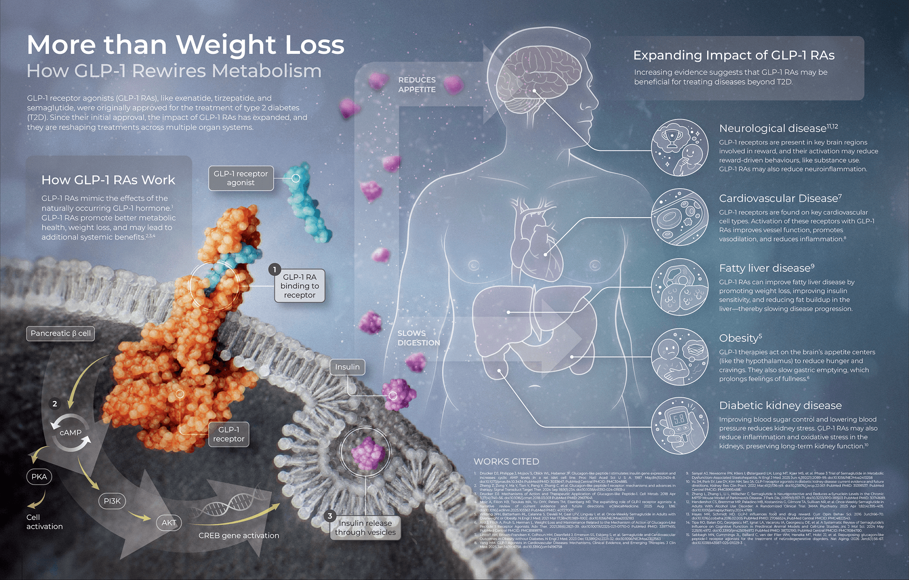 Sjogren's disease background